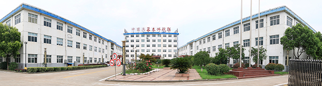 某电子企业阿米巴定制化工程项目